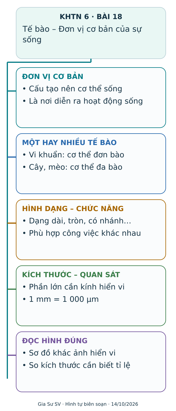 Sơ đồ tư duy Tế bào – Đơn vị cơ bản của sự sống – KHTN 6 Bài 18: ĐƠN VỊ CƠ BẢN, MỘT HAY NHIỀU TẾ BÀO, HÌNH DẠNG – CHỨC NĂNG, KÍCH THƯỚC – QUAN SÁT, ĐỌC HÌNH ĐÚNG.