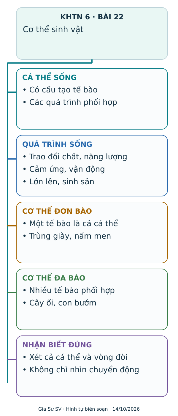 Sơ đồ tư duy Cơ thể sinh vật – KHTN 6 Bài 22: CÁ THỂ SỐNG, QUÁ TRÌNH SỐNG, CƠ THỂ ĐƠN BÀO, CƠ THỂ ĐA BÀO, NHẬN BIẾT ĐÚNG.