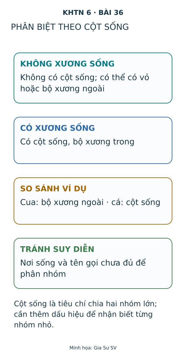 Phân biệt theo cột sống. Cột sống là tiêu chí chia hai nhóm lớn; cần thêm dấu hiệu để nhận biết từng nhóm nhỏ.