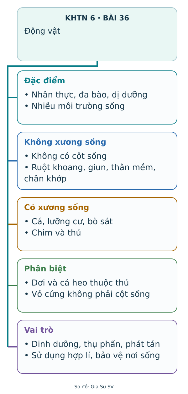 Sơ đồ tư duy Động vật: Đặc điểm, Không xương sống, Có xương sống, Phân biệt, Vai trò.